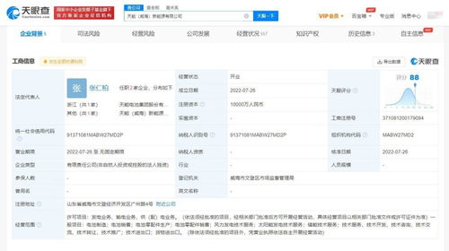 泰豪科技再拓疆域 投資設立新公司，聚焦信息系統集成服務